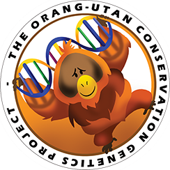 Logo of The Orang-utan Conservation Genetics Project