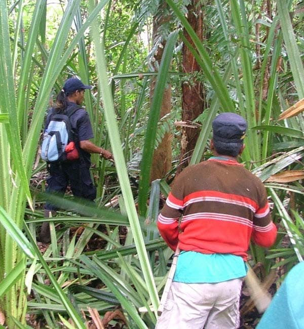 Photo of Indonesian field assistants to illustrate training